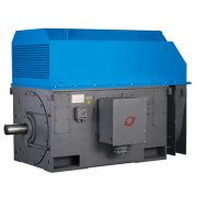 高压电机故障原因分析和防范措施